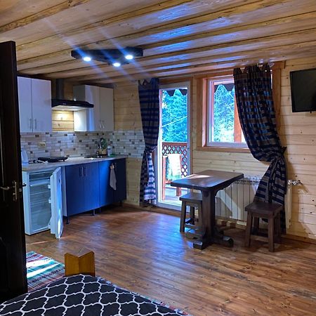 Номер 6 Садиба У Ані Synevyrsʼka Polyana Exteriér fotografie