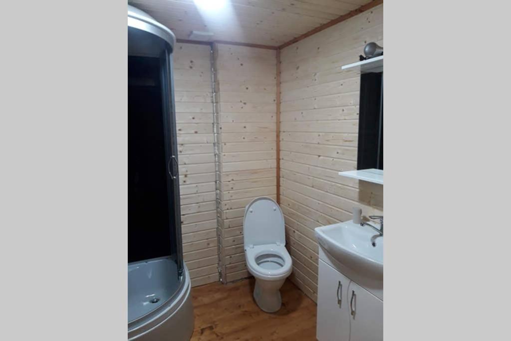 Номер 6 Садиба У Ані Synevyrsʼka Polyana Exteriér fotografie